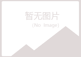 增城夜山能源有限公司